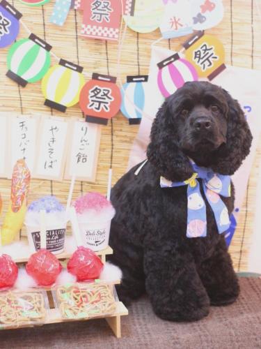 20240704天ちゃん